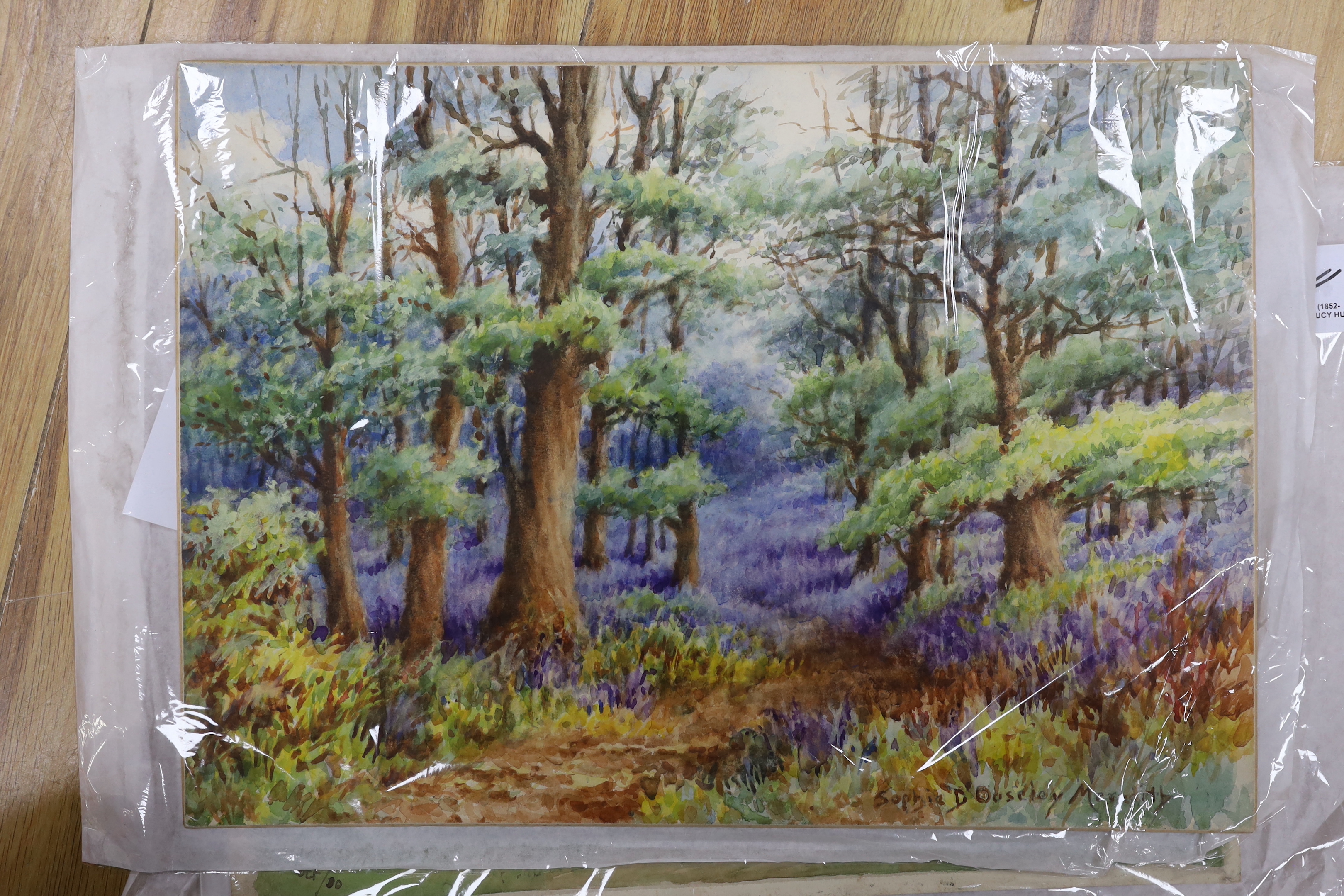 Kevin Pearsh (born 1951), pair of coloured conté crayon drawings, Australian landscapes, signed and dated '78, 30 x 41cm